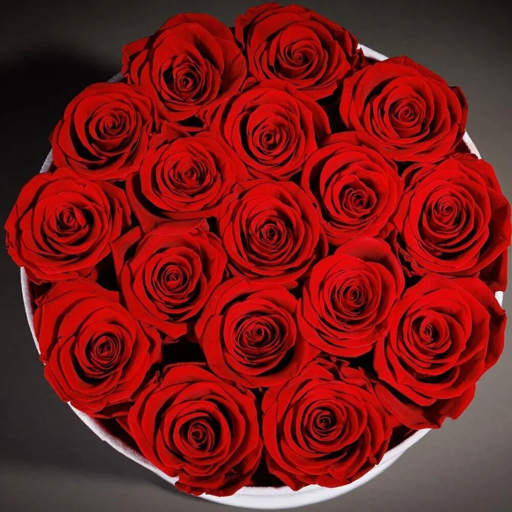 17 Flowers in a Luxury Suede Gift Box Birthday Gifts Preserved Flowers Red